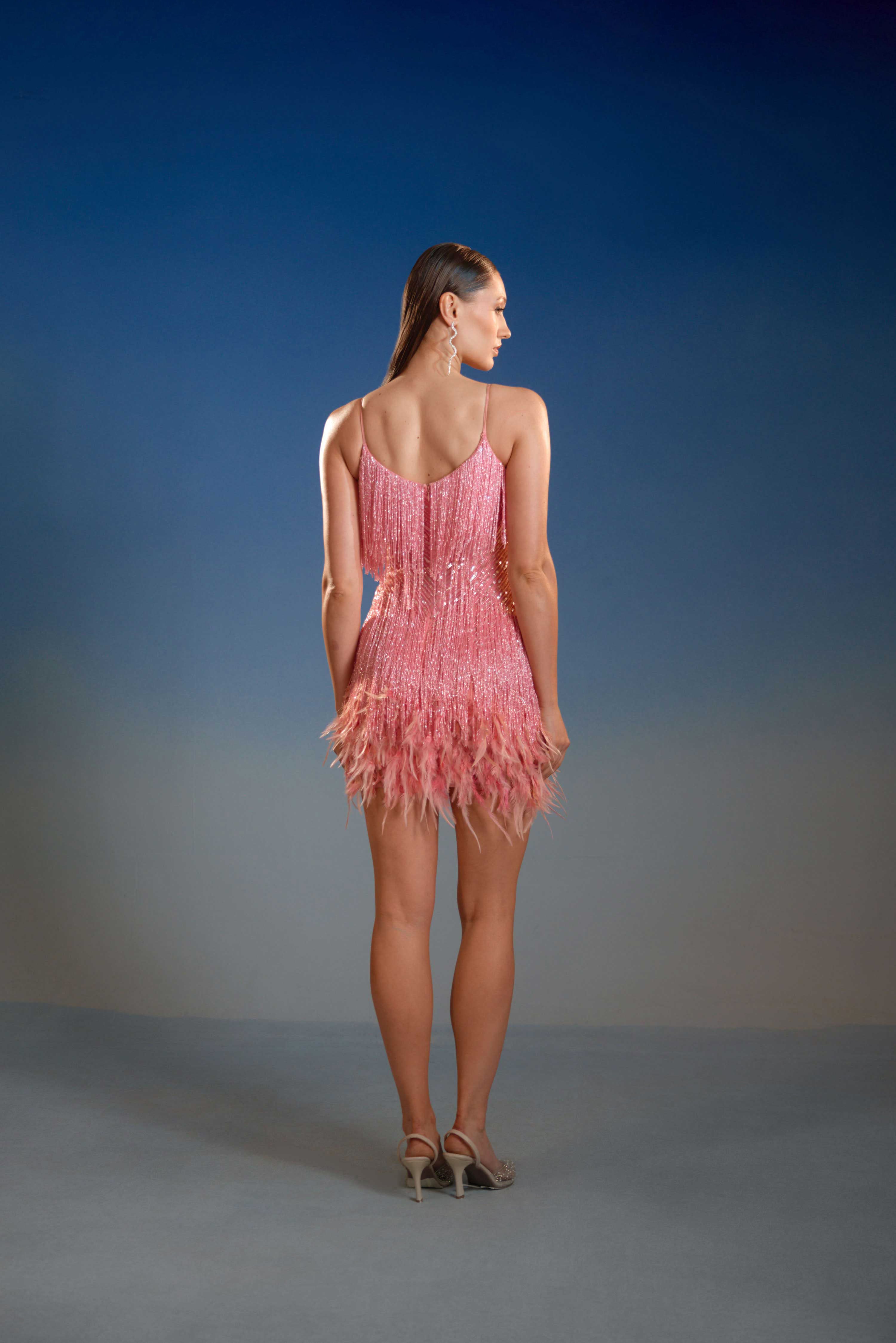 Blush Pink Butterfly Bead Mini Dress