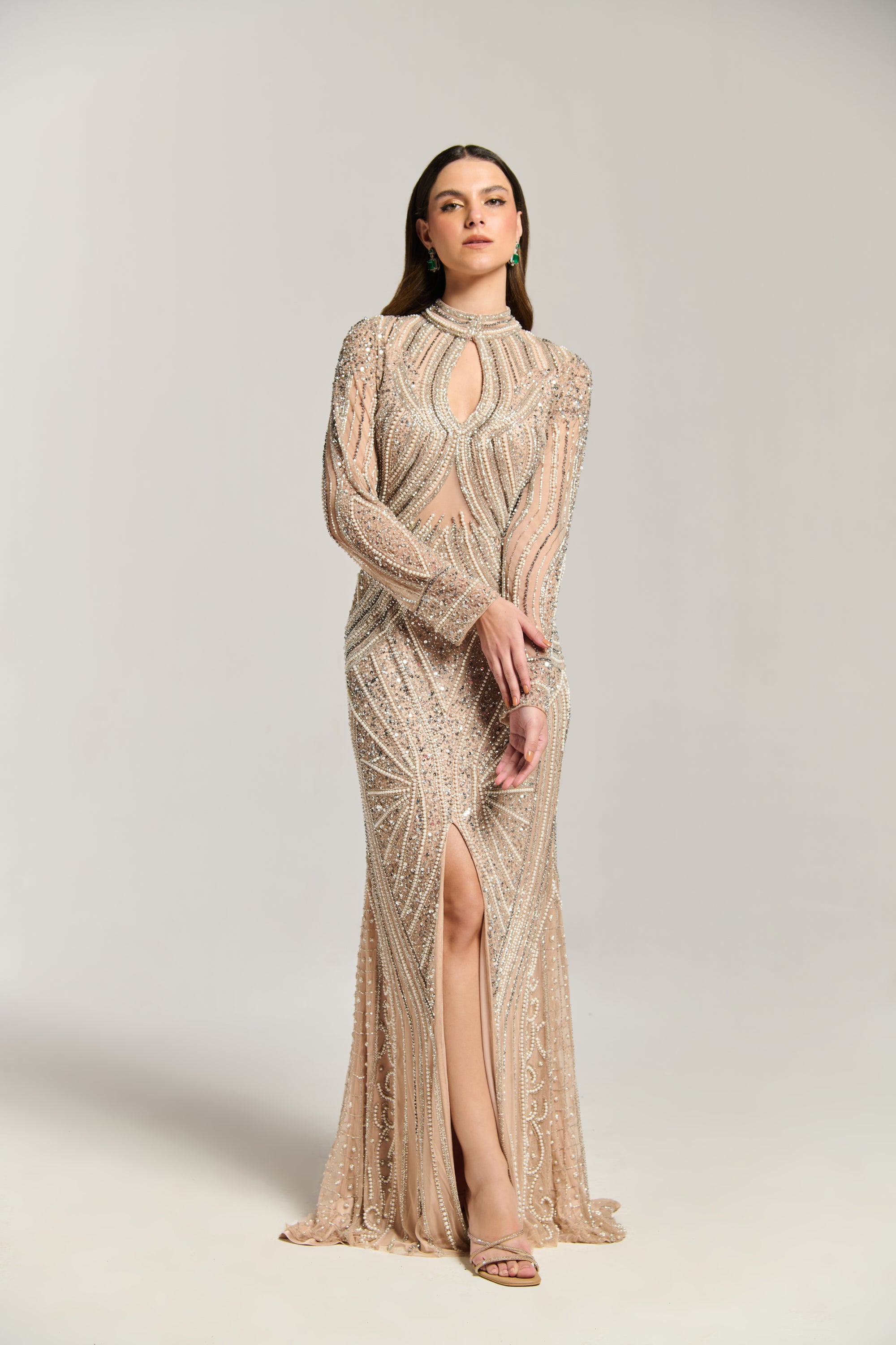 Luxury Embellished Dress