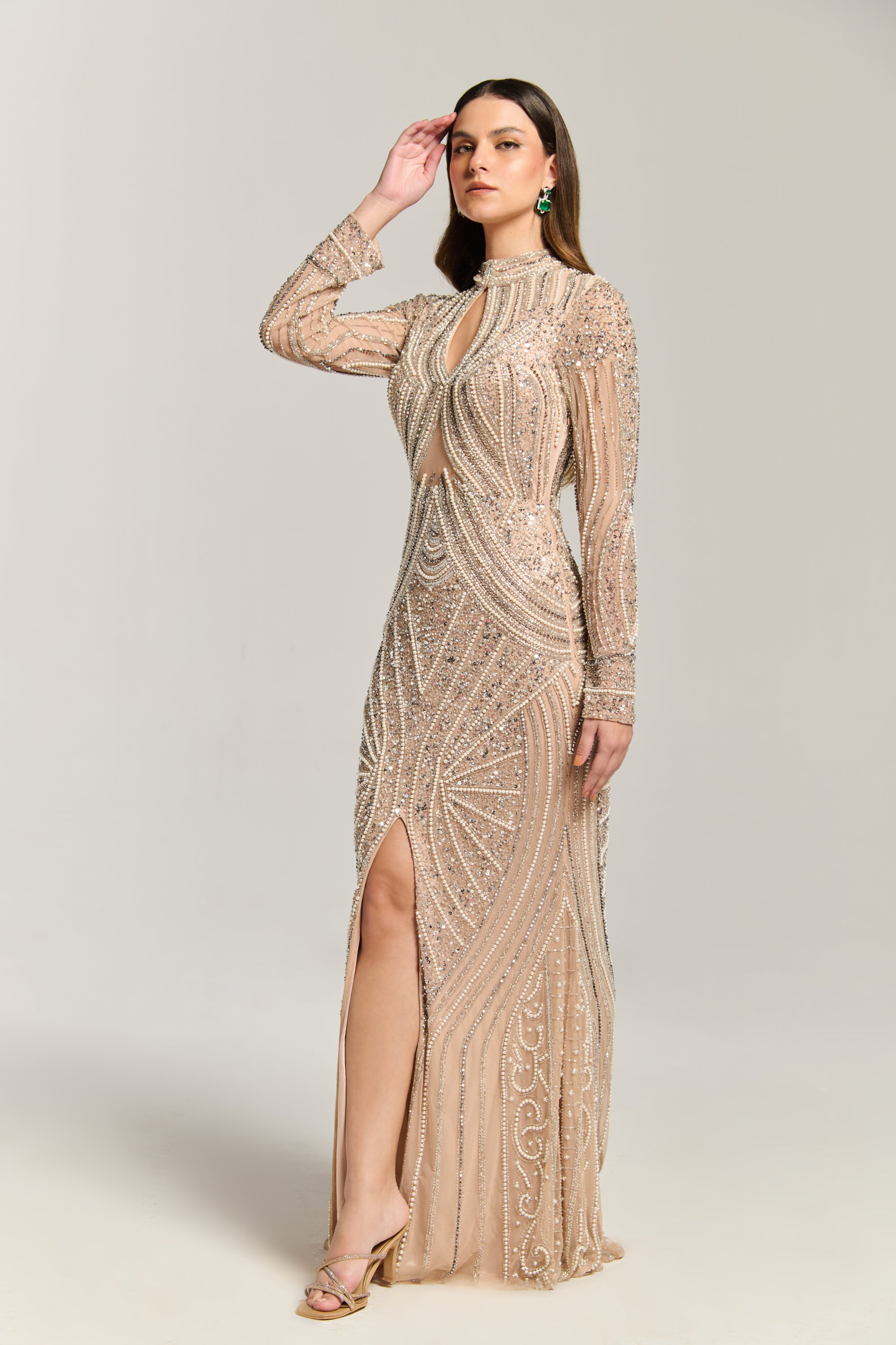 Luxury Embellished Dress